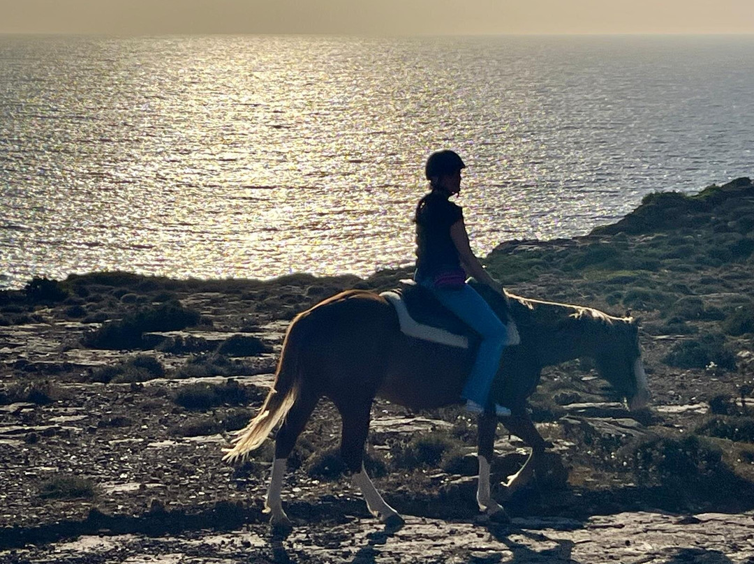 Carolina Ranch Escursioni e Tour-Sant'Antioco必去景点