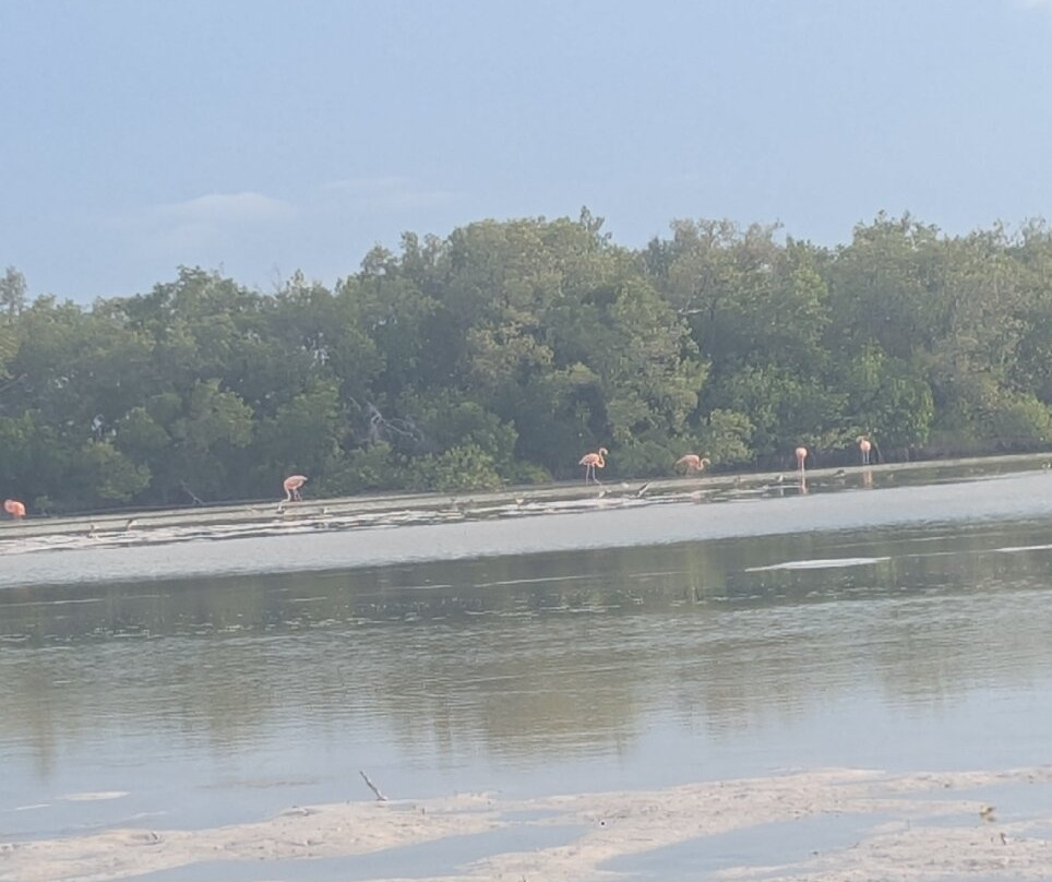 My Holbox Tours-Holbox必去景点