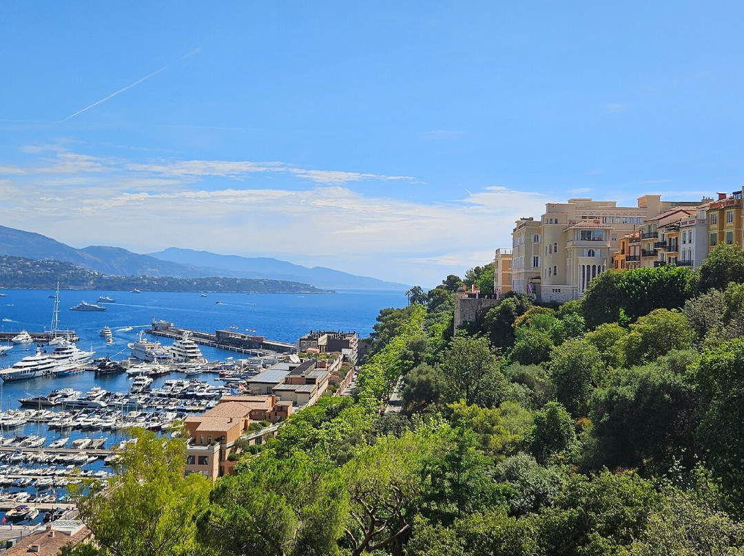 Palais Princier de Monaco-摩纳哥城必去景点
