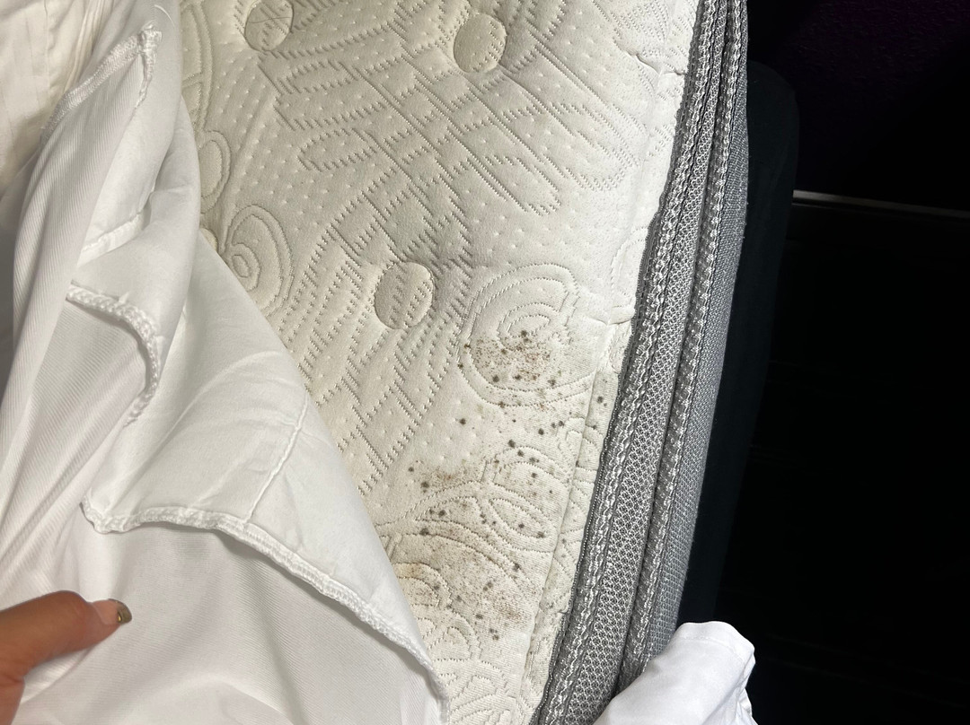 La Quinta Inn & Suites by Wyndham Columbus MS主图