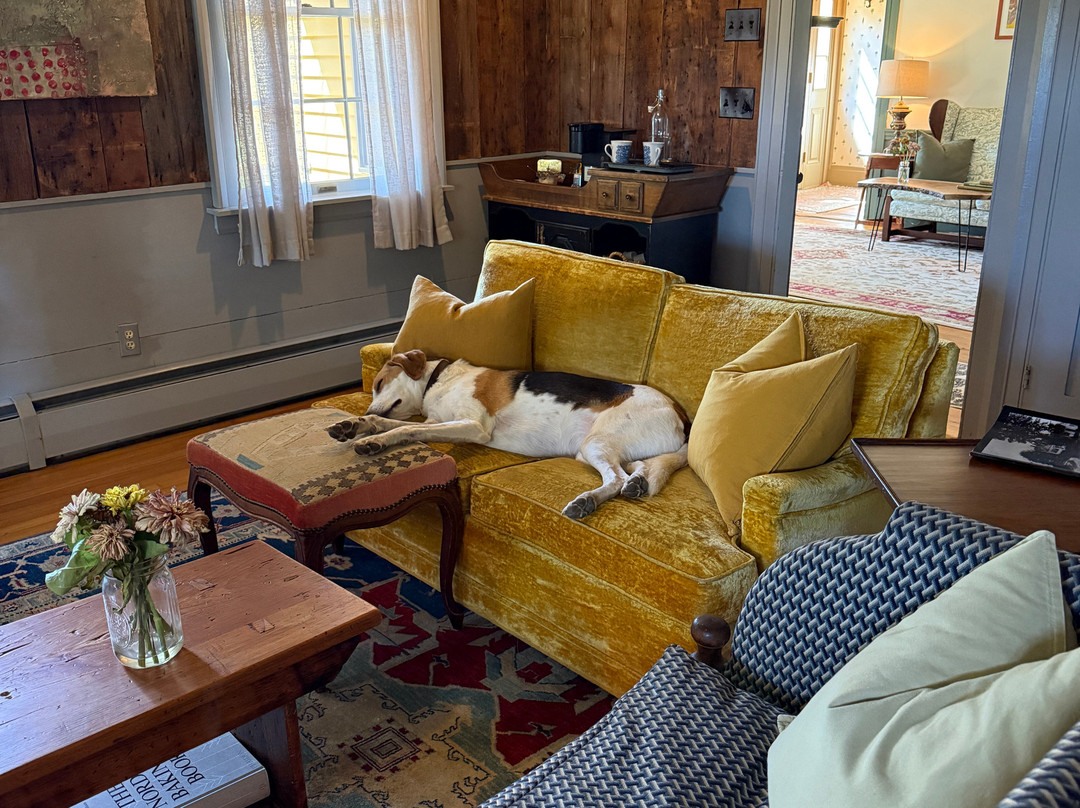 The Waterford Inne主图