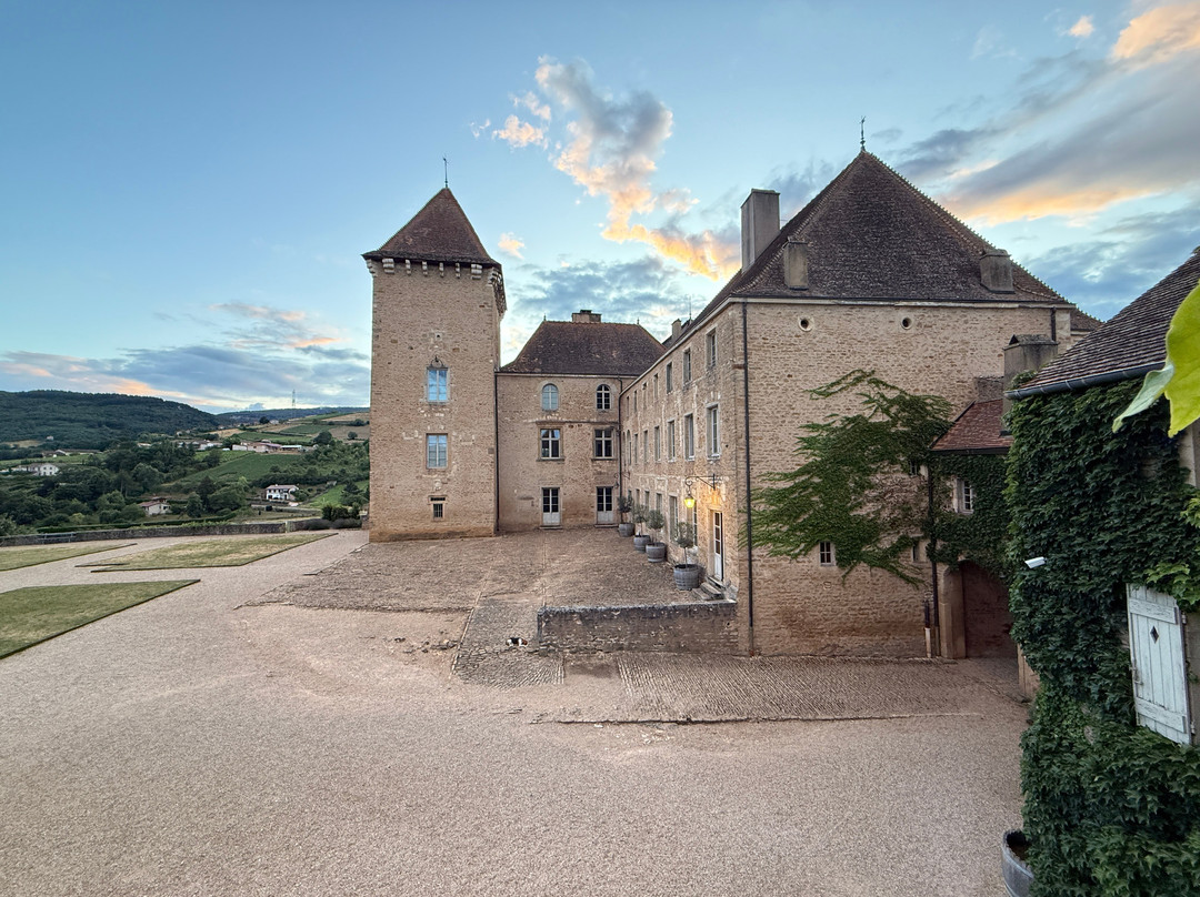 Château de Pierreclos主图