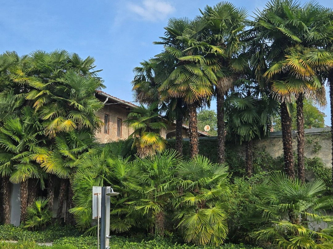 Villa Doria il Torrione主图