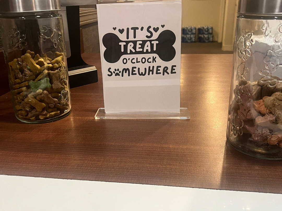 格兰德拉匹兹西原住客栈主图