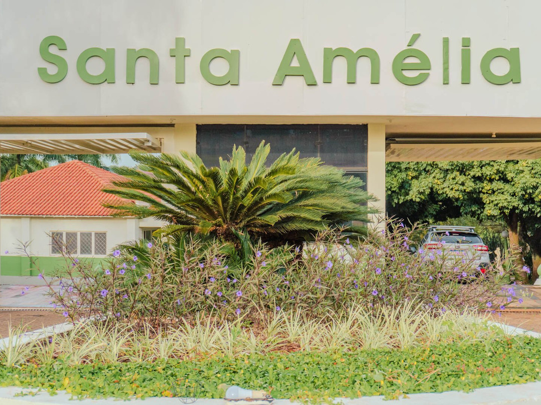 圣阿米莉亚庄园主图