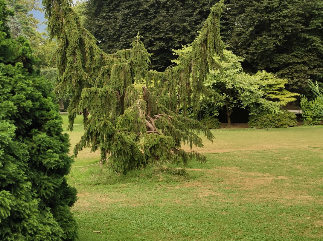 Parco Ciani-卢加诺必去景点