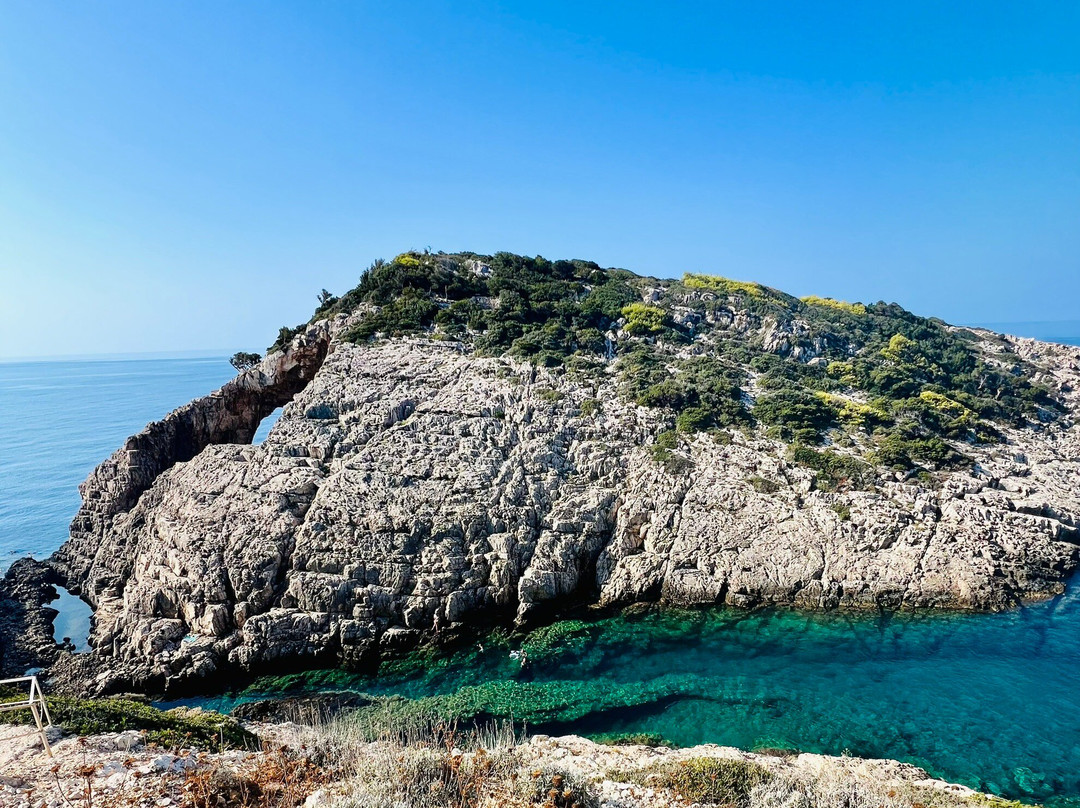 Olive Tree-扎金索斯必去景点