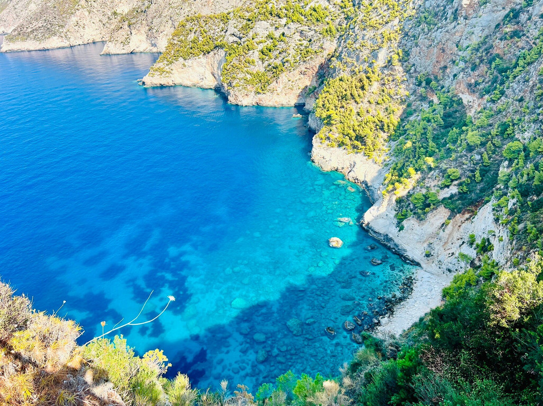 Olive Tree-扎金索斯必去景点