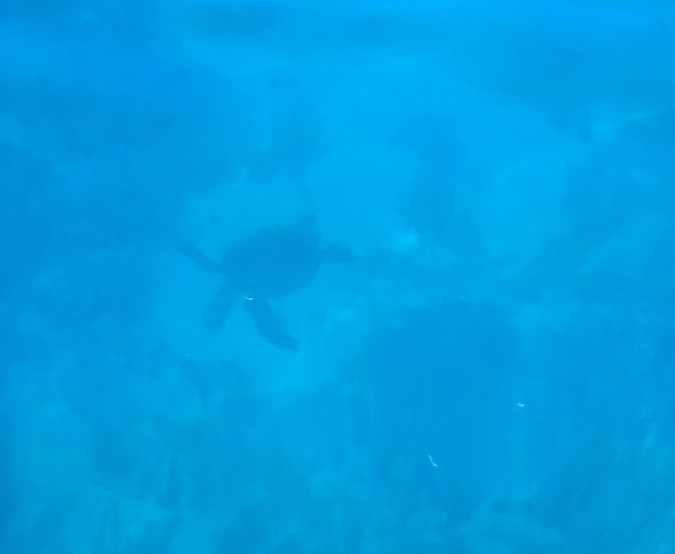 Liquid Cosmos Divers-卡威哈也必去景点