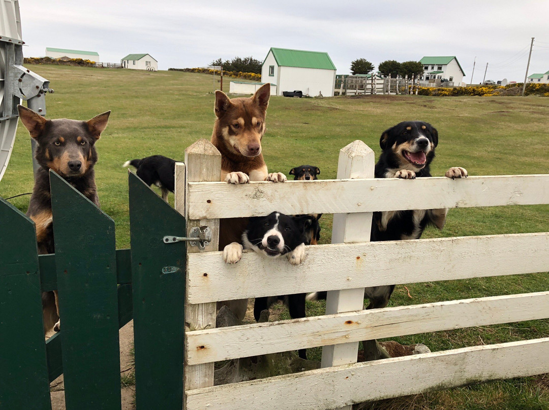 Fitzroy Farm-Darwin必去景点