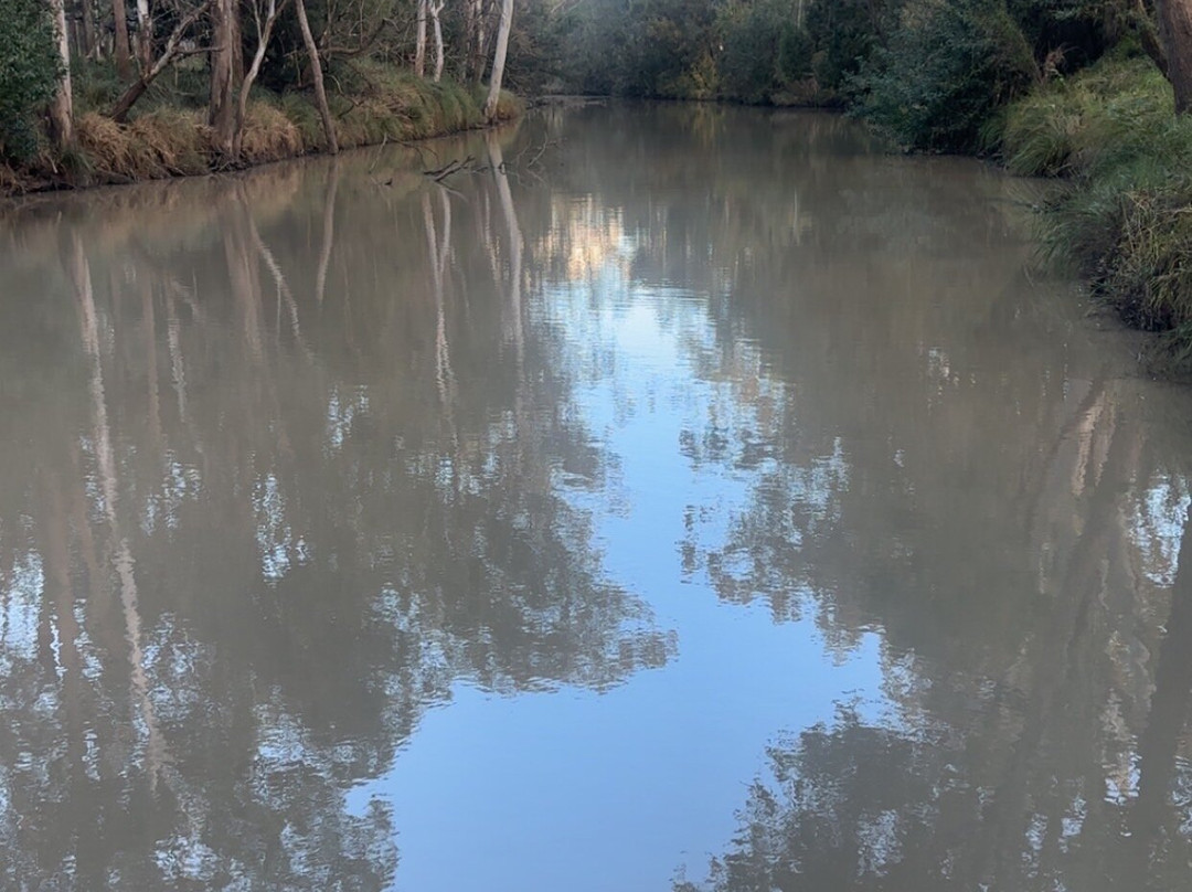 Laurels of Chinchilla主图