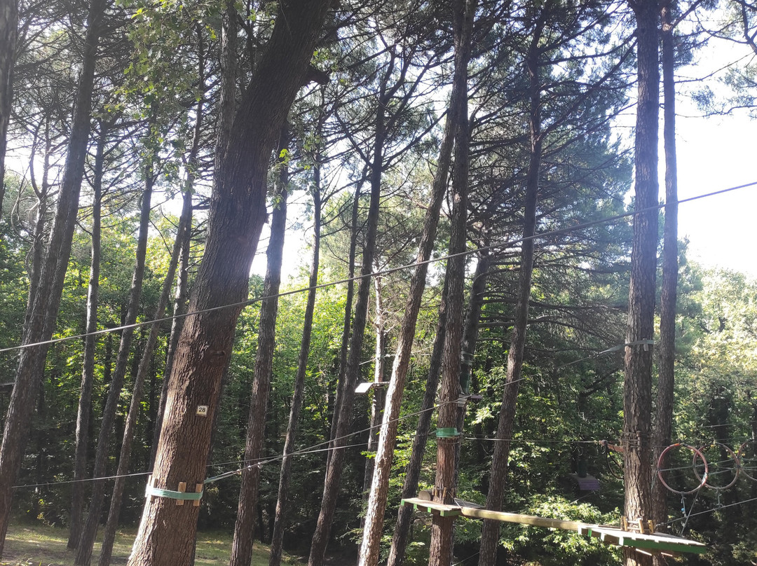 Parco Avventura Etna-Milo必去景点