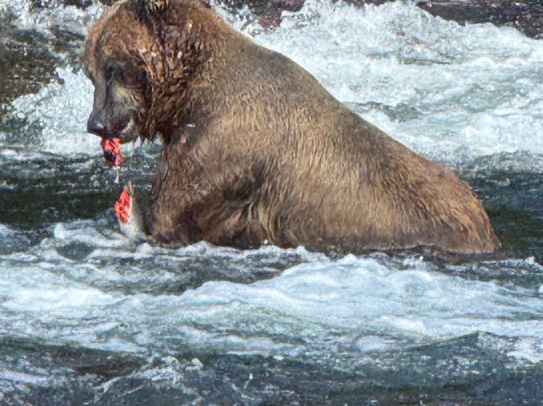 Beryl Air-荷马必去景点
