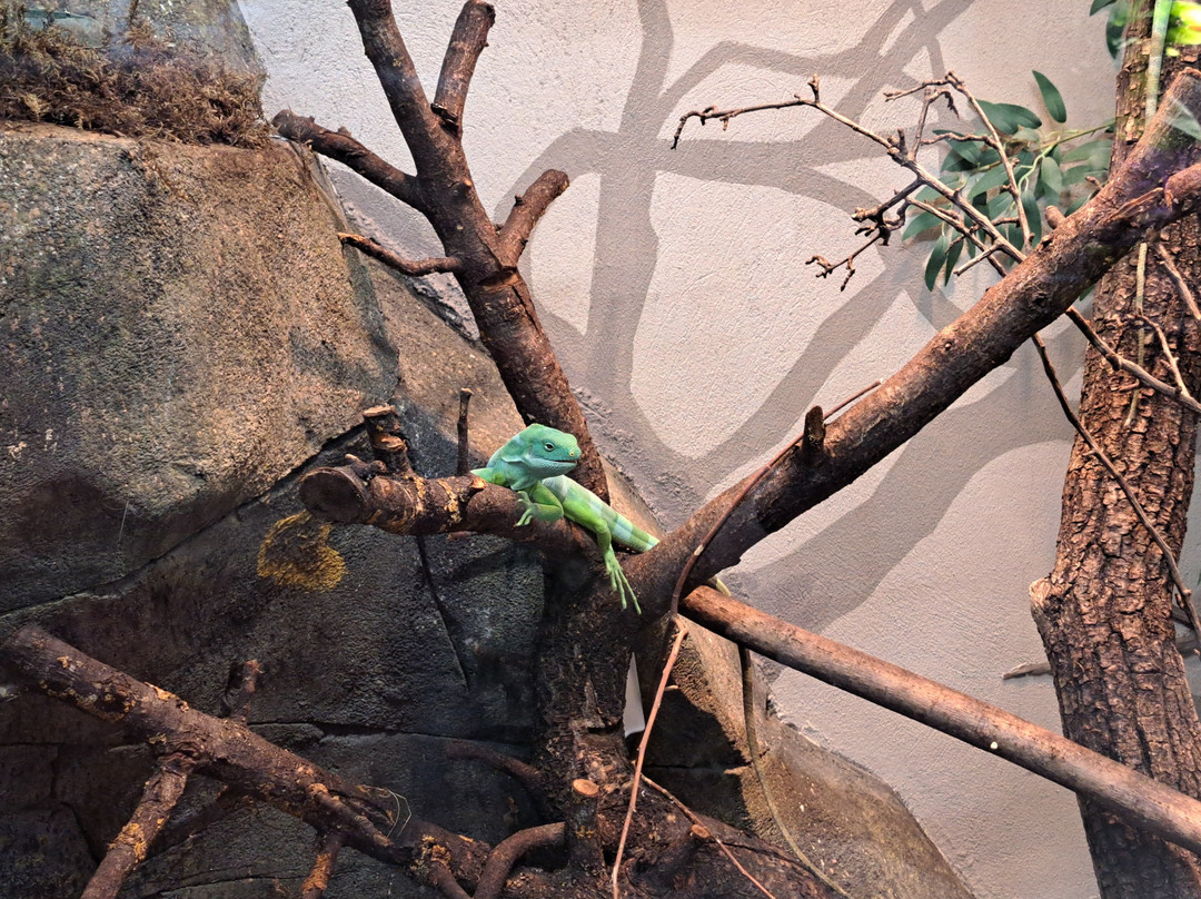 Zoopark Kaunas-考那斯必去景点