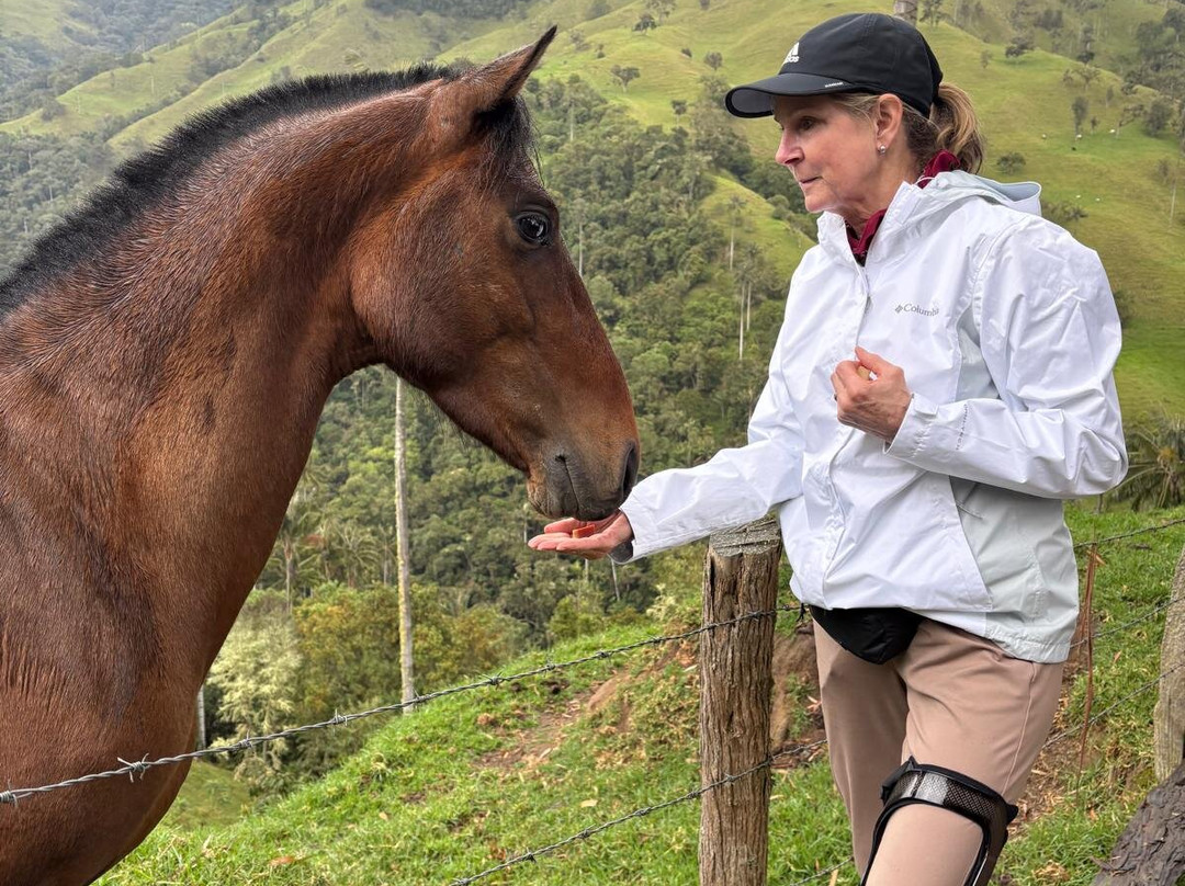 Terasu Salento Hotel Boutique主图