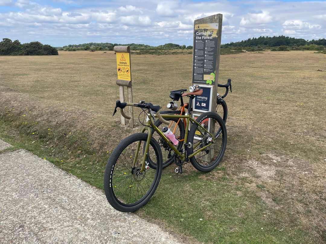 The Woods Cyclery-林德赫斯特必去景点