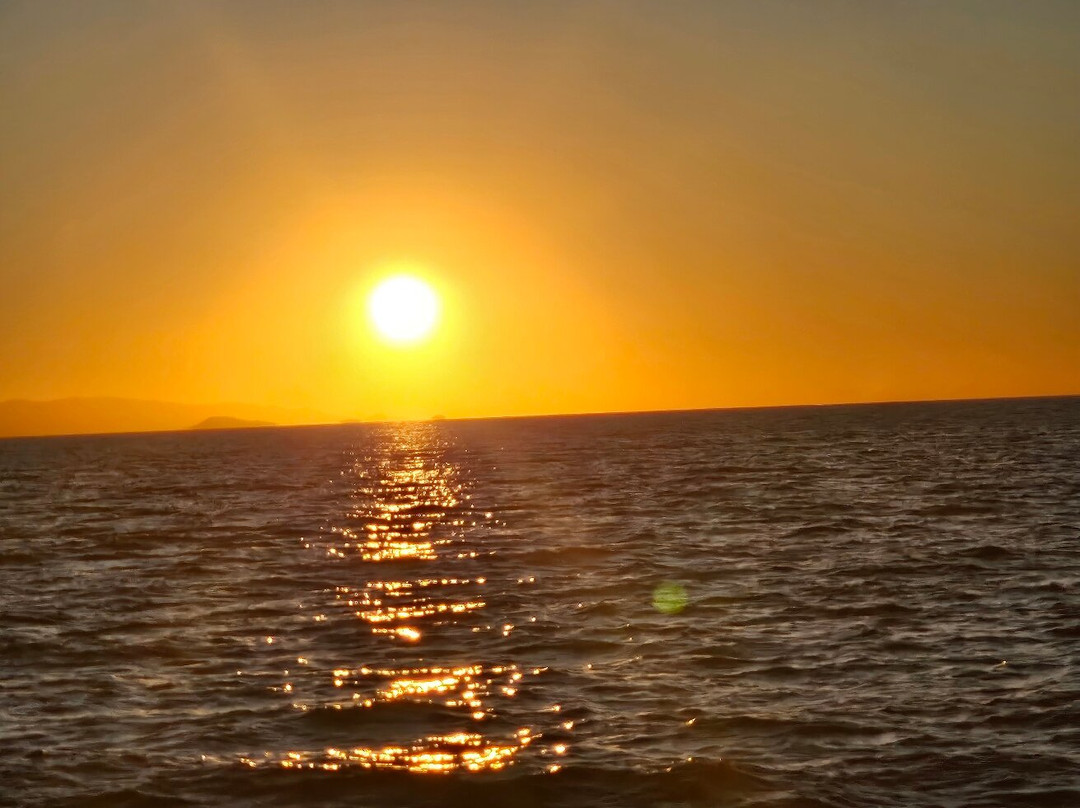 Aquascene Magnetic Island-Magnetic Island必去景点