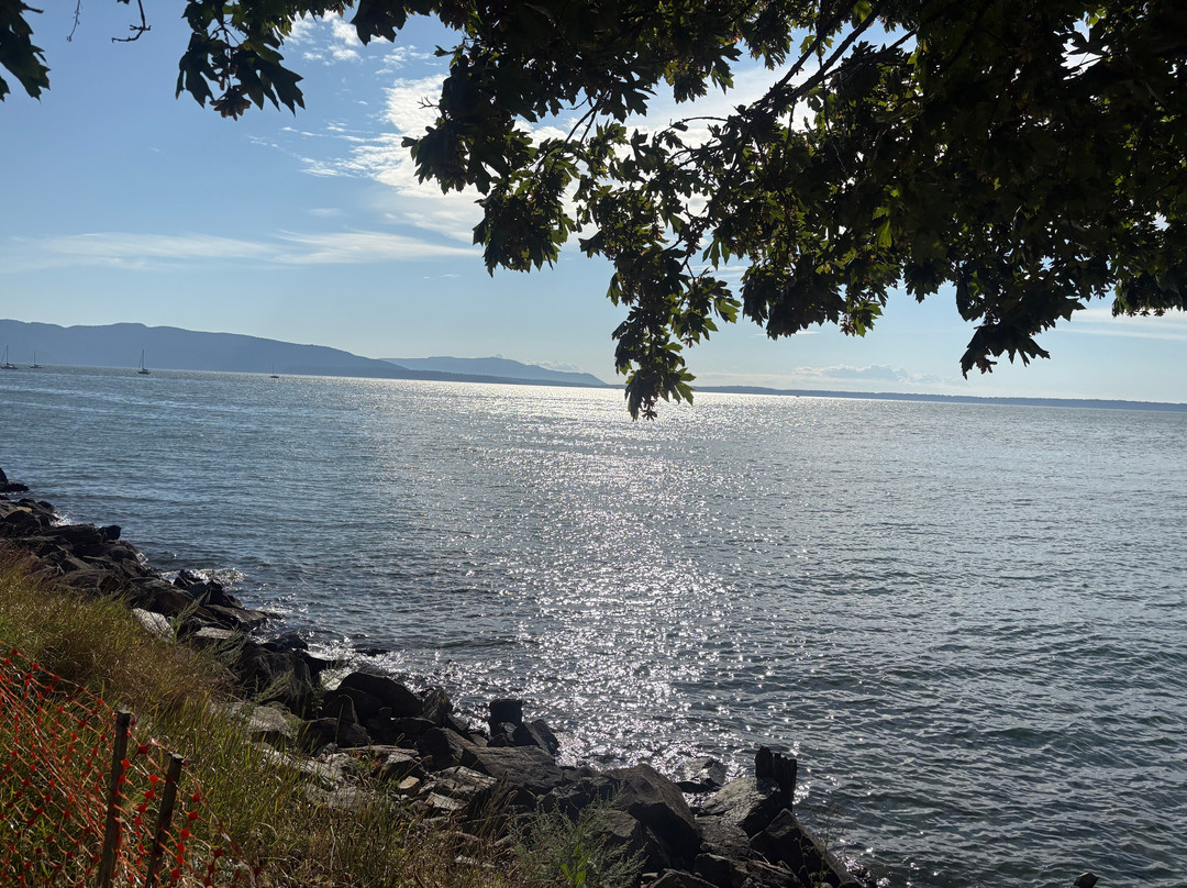 Boulevard Park-贝灵厄姆必去景点