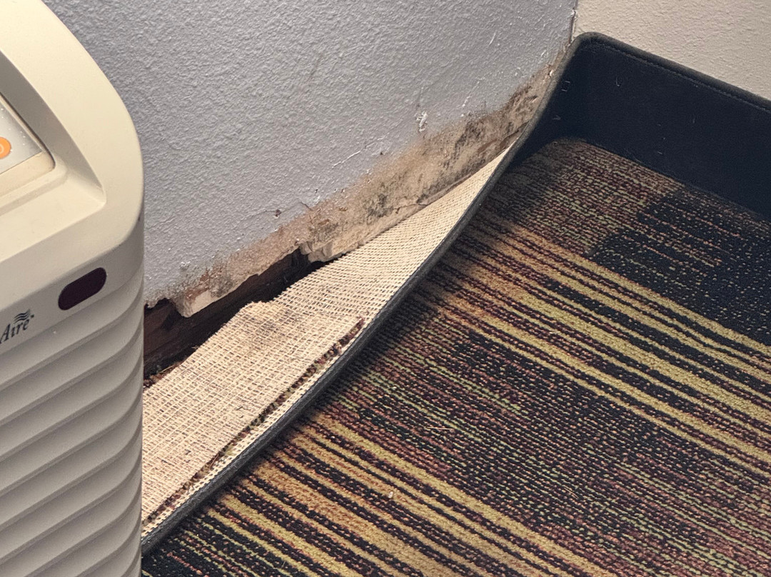 Days Inn by Wyndham Cameron主图