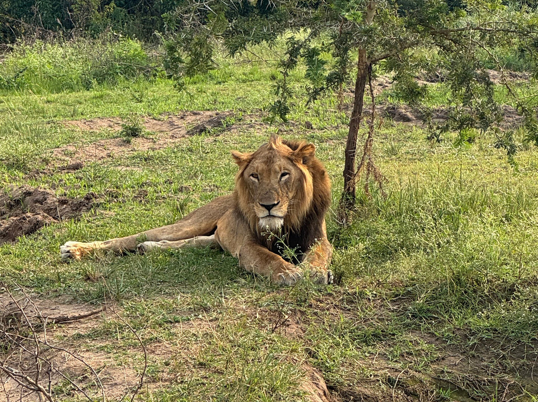 Kabaffulo Safaris-Katunguru必去景点