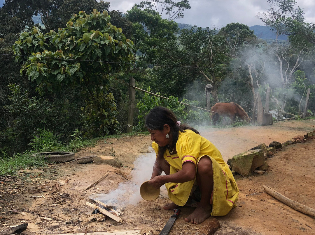 Roots Of The Amazon-Tarapoto必去景点