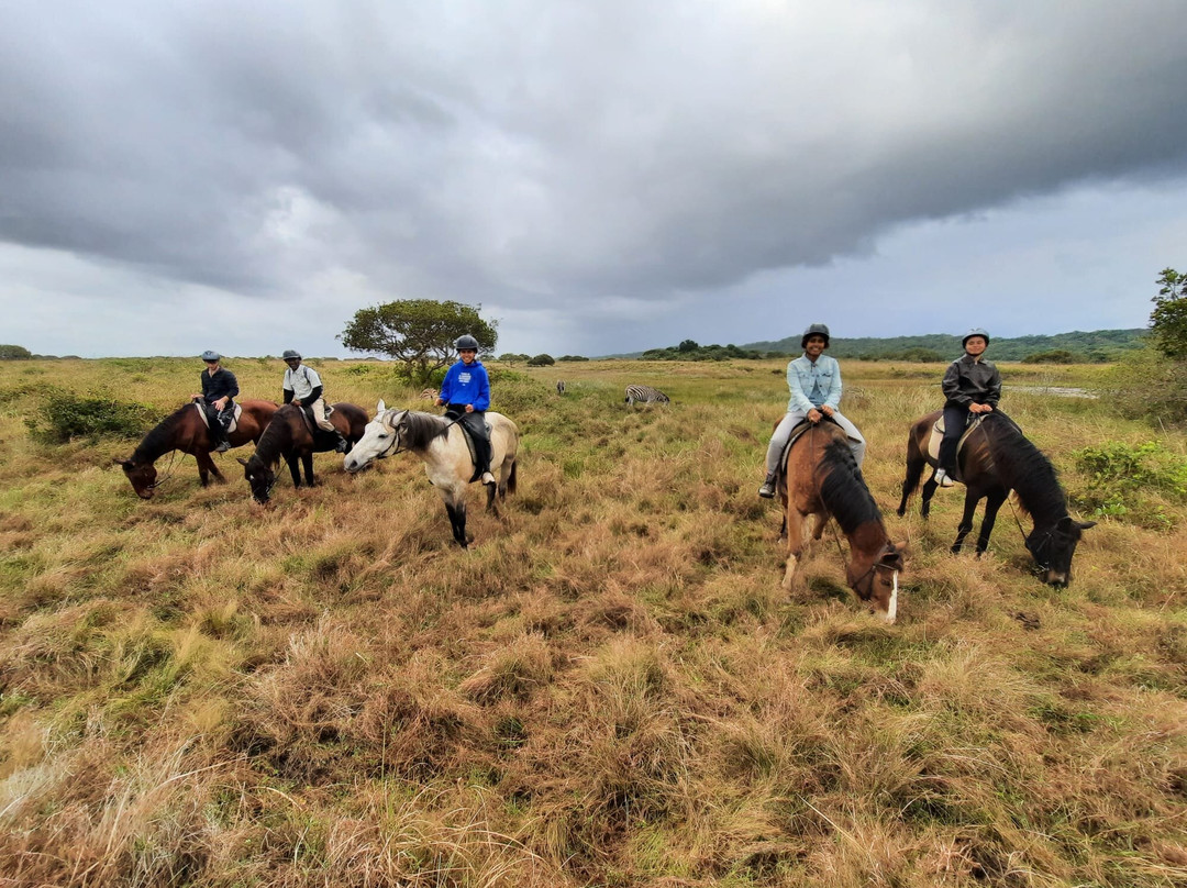 Bhangazi Horse Safaris-圣露西亚必去景点