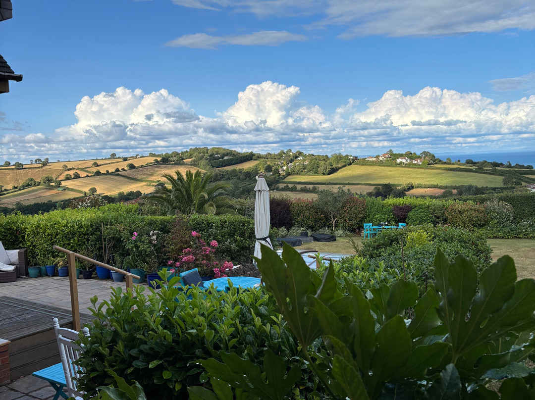 Halekulani Devon主图