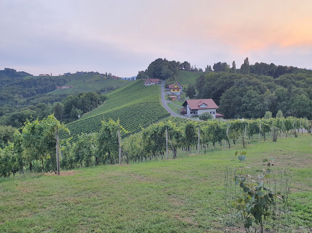 Die Südsteirische Weinstraße-洛伊查赫必去景点