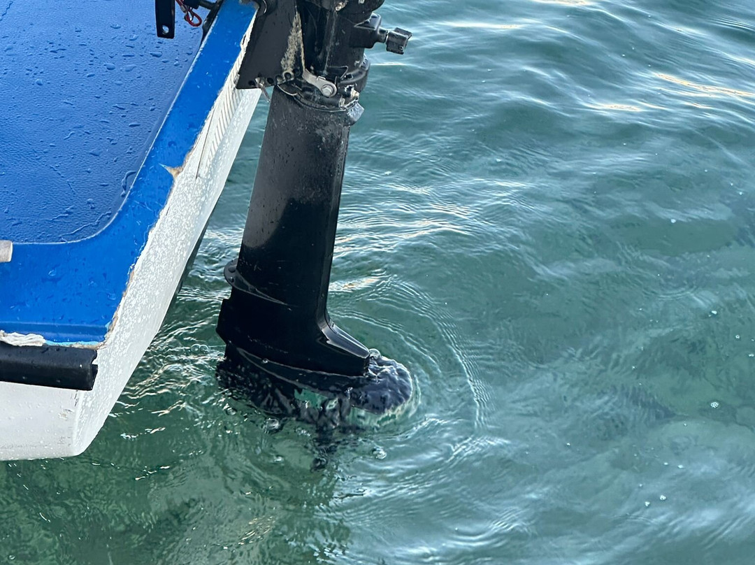 Mala Mara-Mokosica必去景点