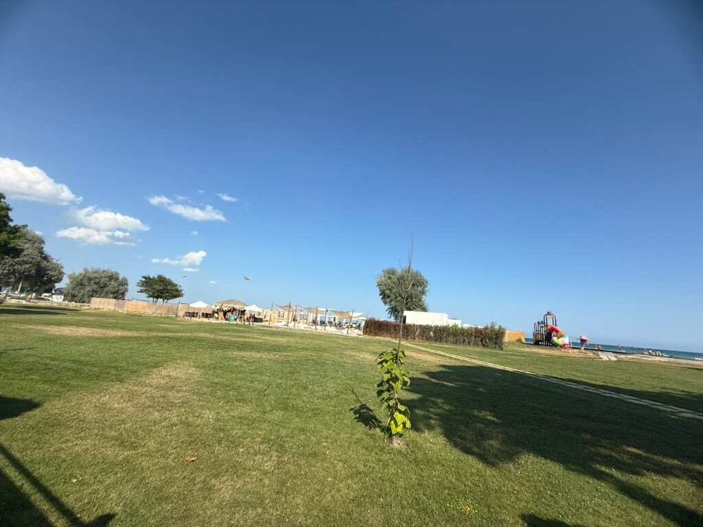 Effect Algara Beach主图