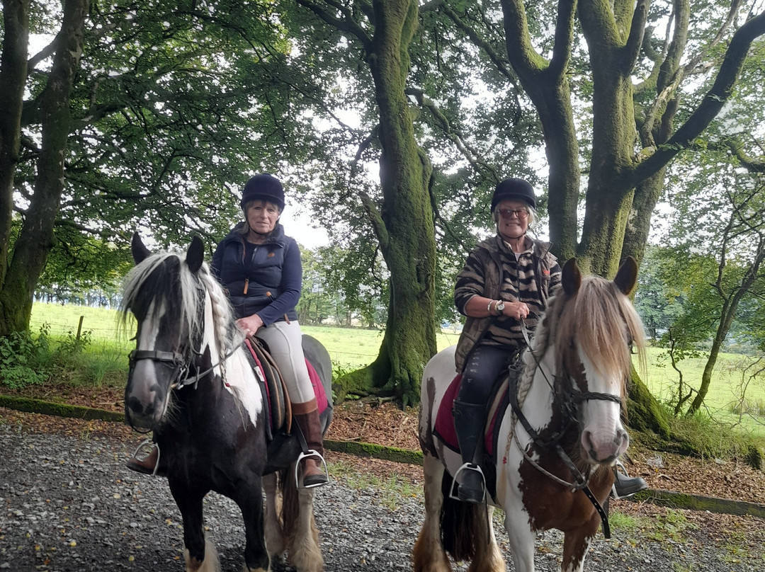 Saddle Tramps Trail Riding-Lampeter必去景点