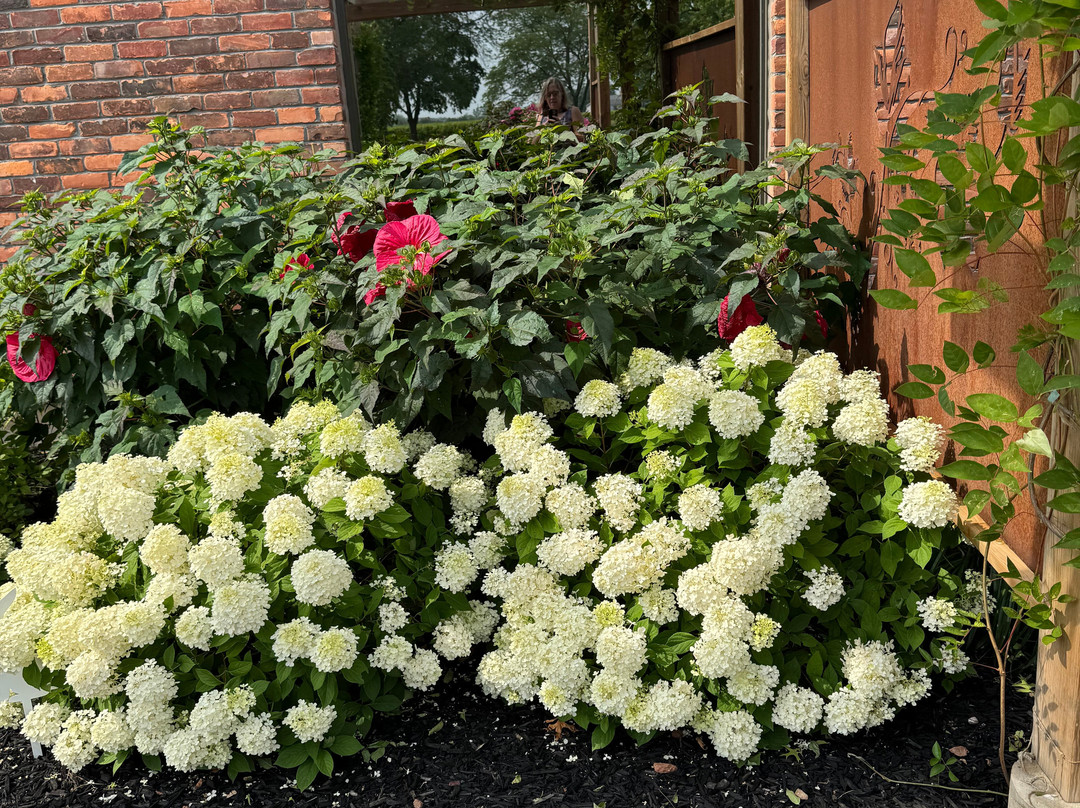 The Hare Wine Co.-滨湖尼亚加拉必去景点