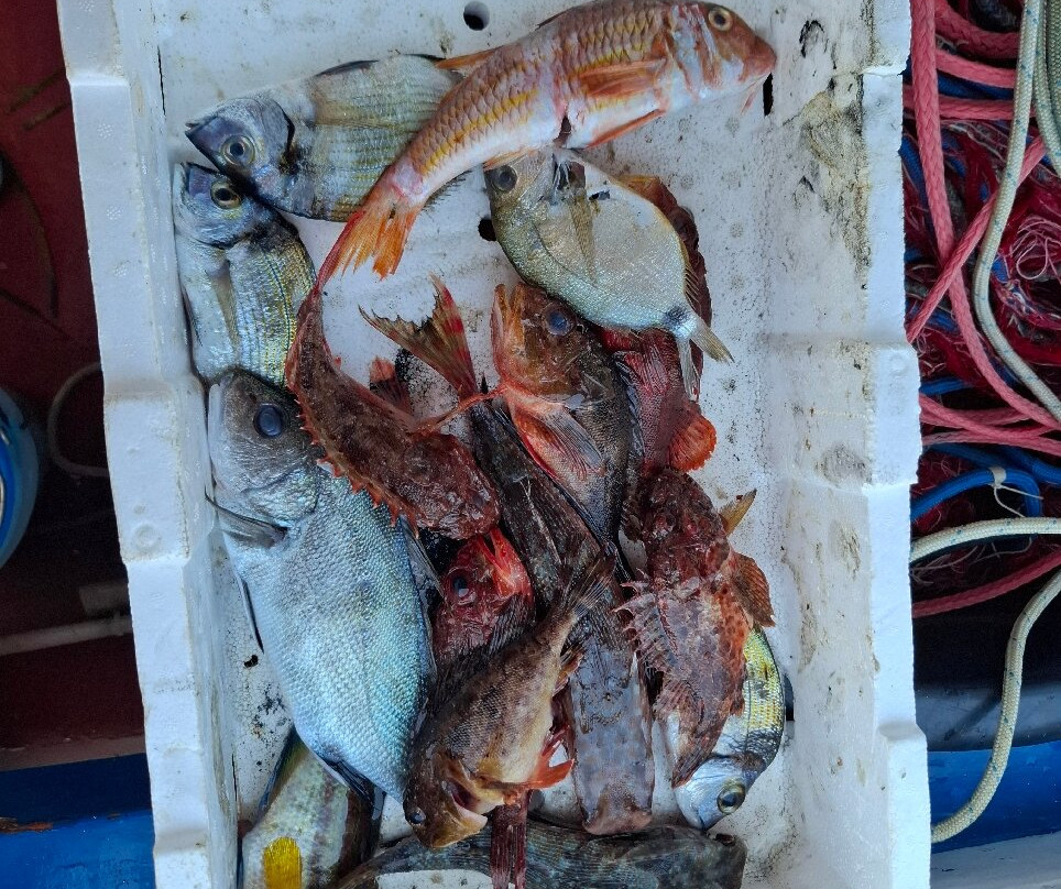 Pescaturismo La Barca dei Matti-Campo nell'Elba必去景点