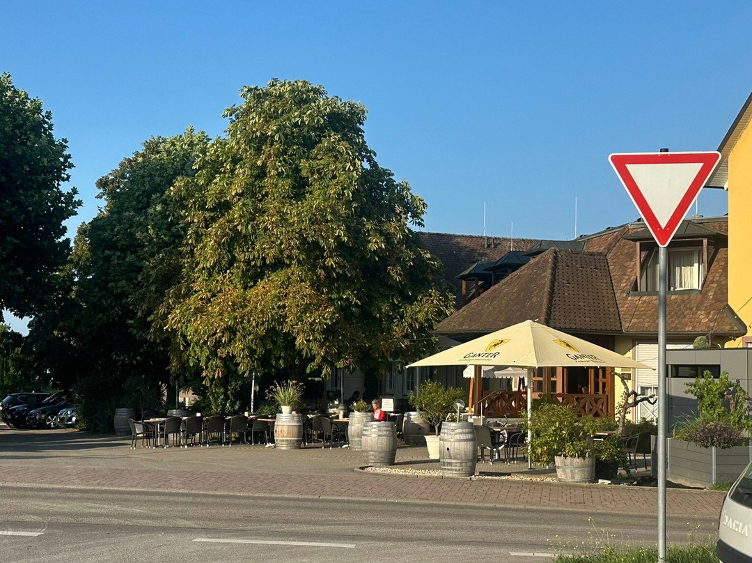 库瑞兹帕斯特酒店主图