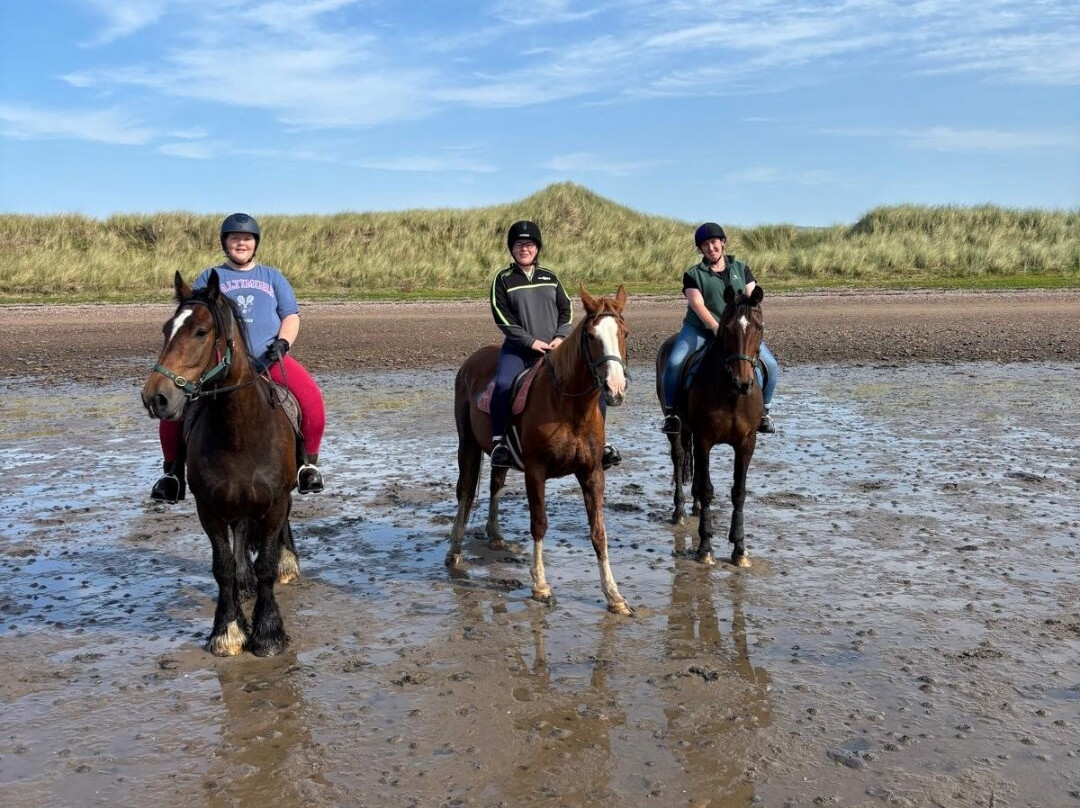Rossbeigh Beach Horse Riding Centre-Glenbeigh必去景点