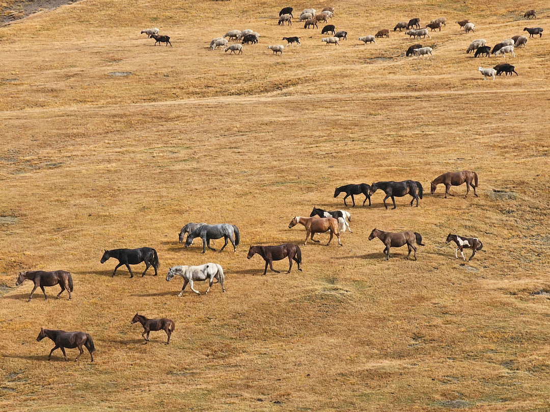 Kymyz travel-比斯凯克必去景点