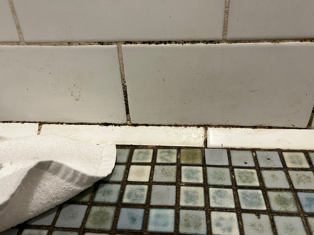 凯恩斯假日旅馆主图