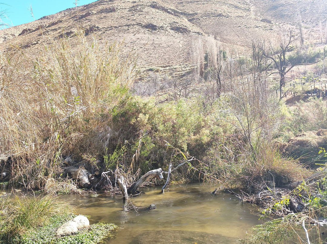 Pueblo Artesanal de Horcon-Pisco Elqui必去景点