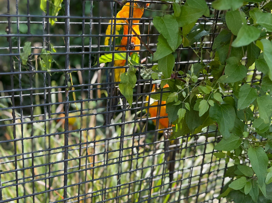 Vogelpark Avifauna-Alphen aan den Rijn必去景点