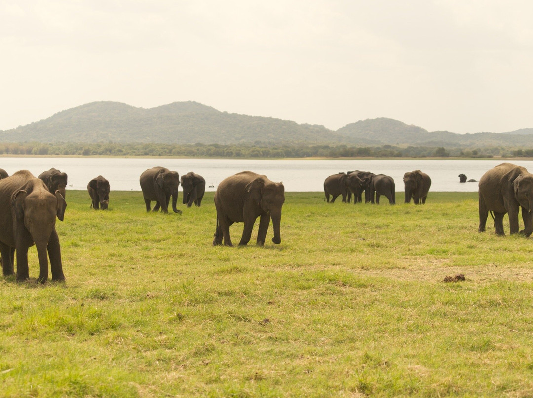 Nilanka Manjula withanage-尼甘布必去景点