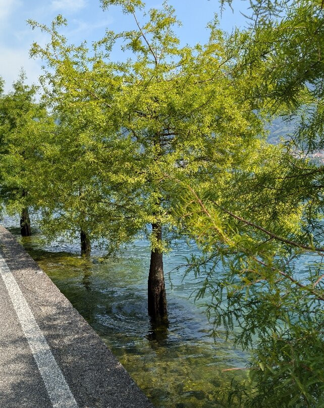 Passeggiata a Monte Isola-蒙泰伊索拉必去景点