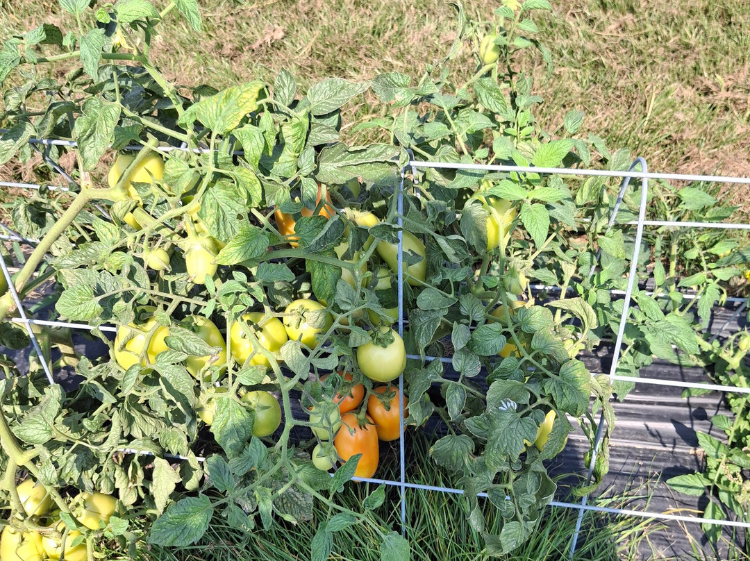 La Ferme de Rutel Cueillette-Villenoy必去景点