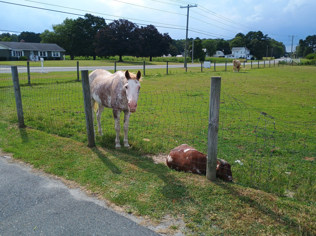 Parson's Farms-Dagsboro必去景点