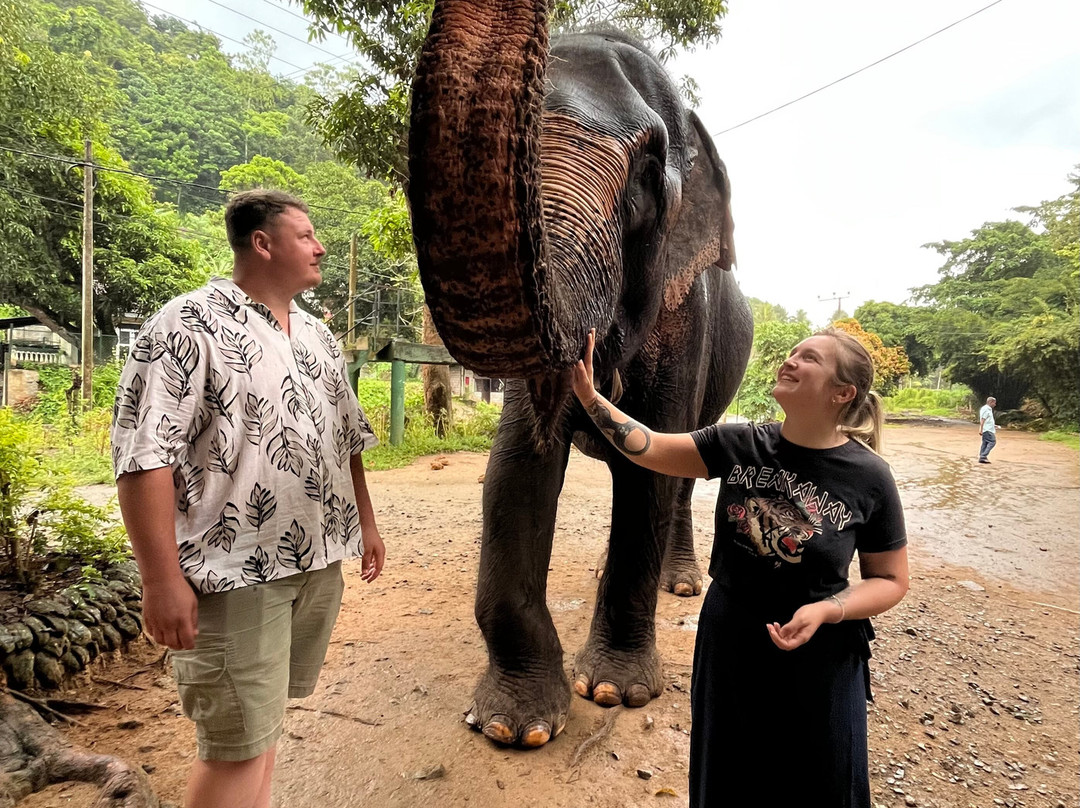Lalaf Tours-尼甘布必去景点