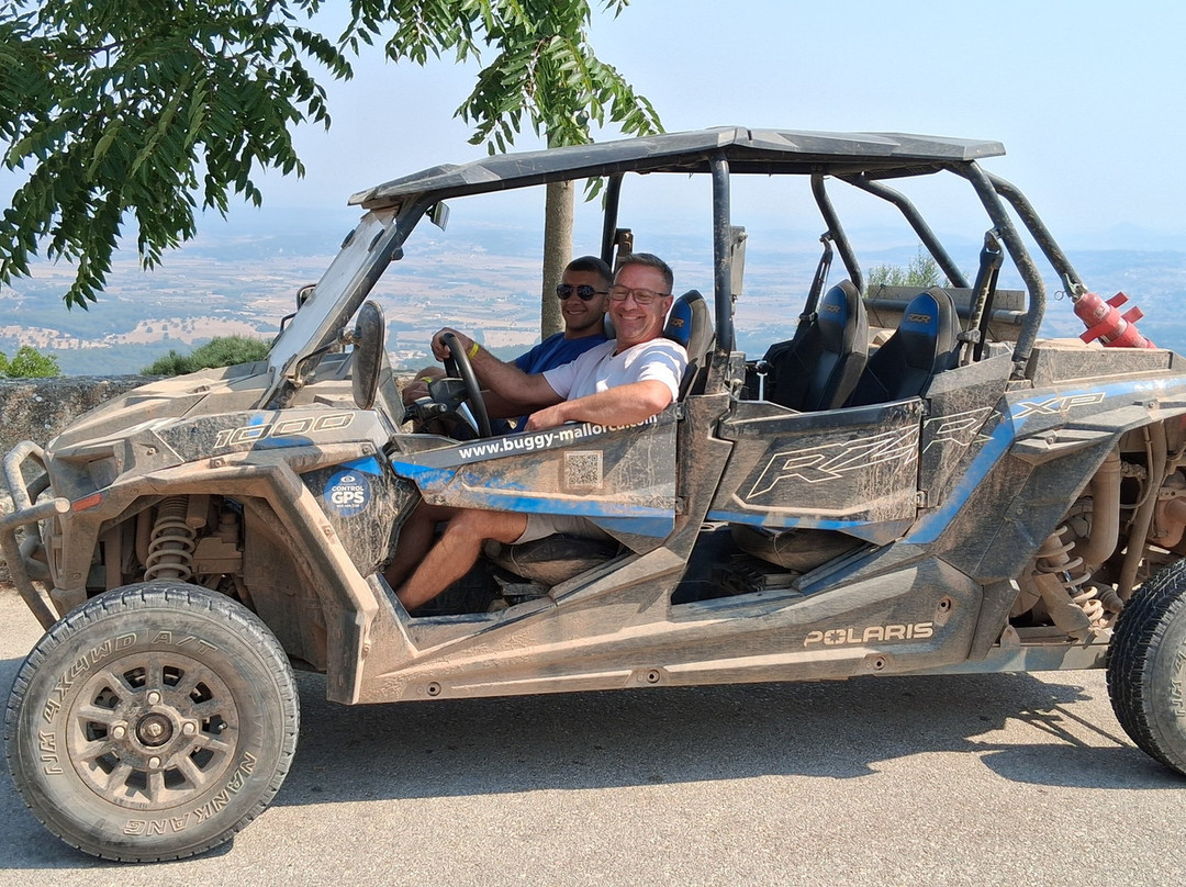 Buggy Mallorca Tours-阿尔库迪亚港必去景点