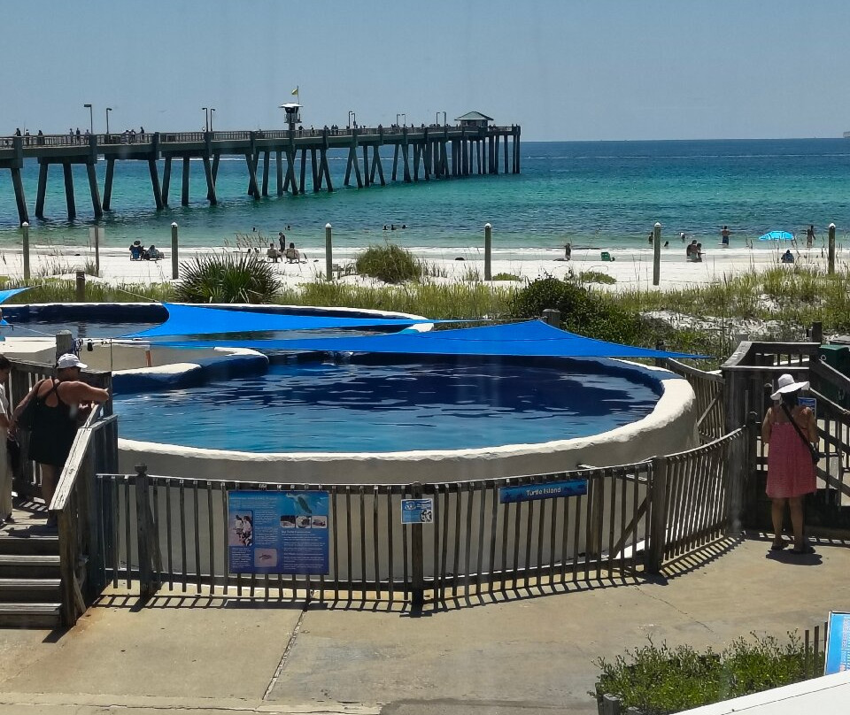 Gulfarium Marine Adventure Park-华尔顿堡滩必去景点