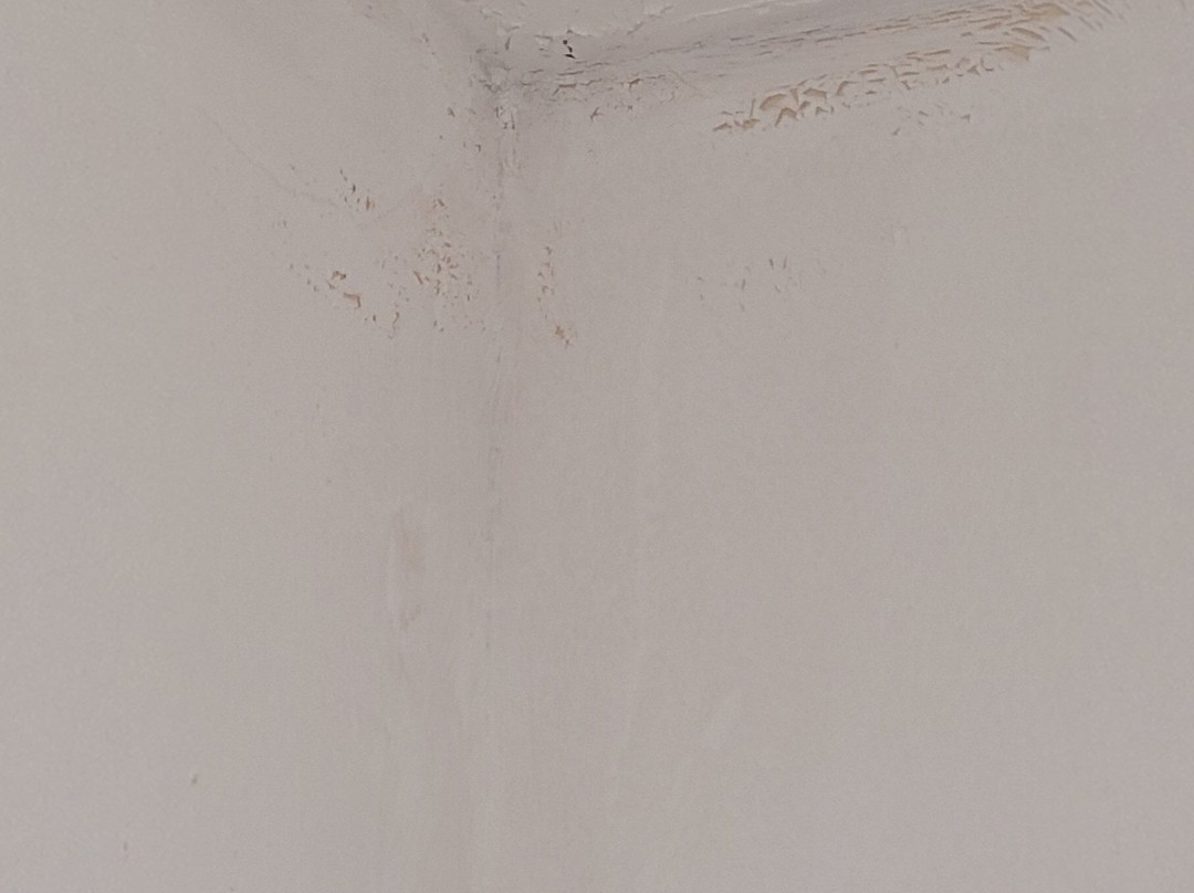 The Winston Guesthouse主图