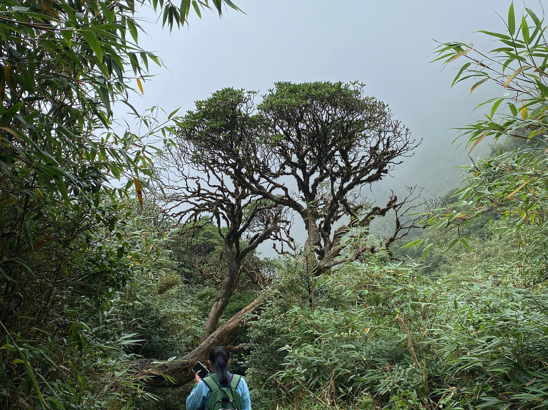 Ker Treking Local Guide Sapa-沙巴必去景点