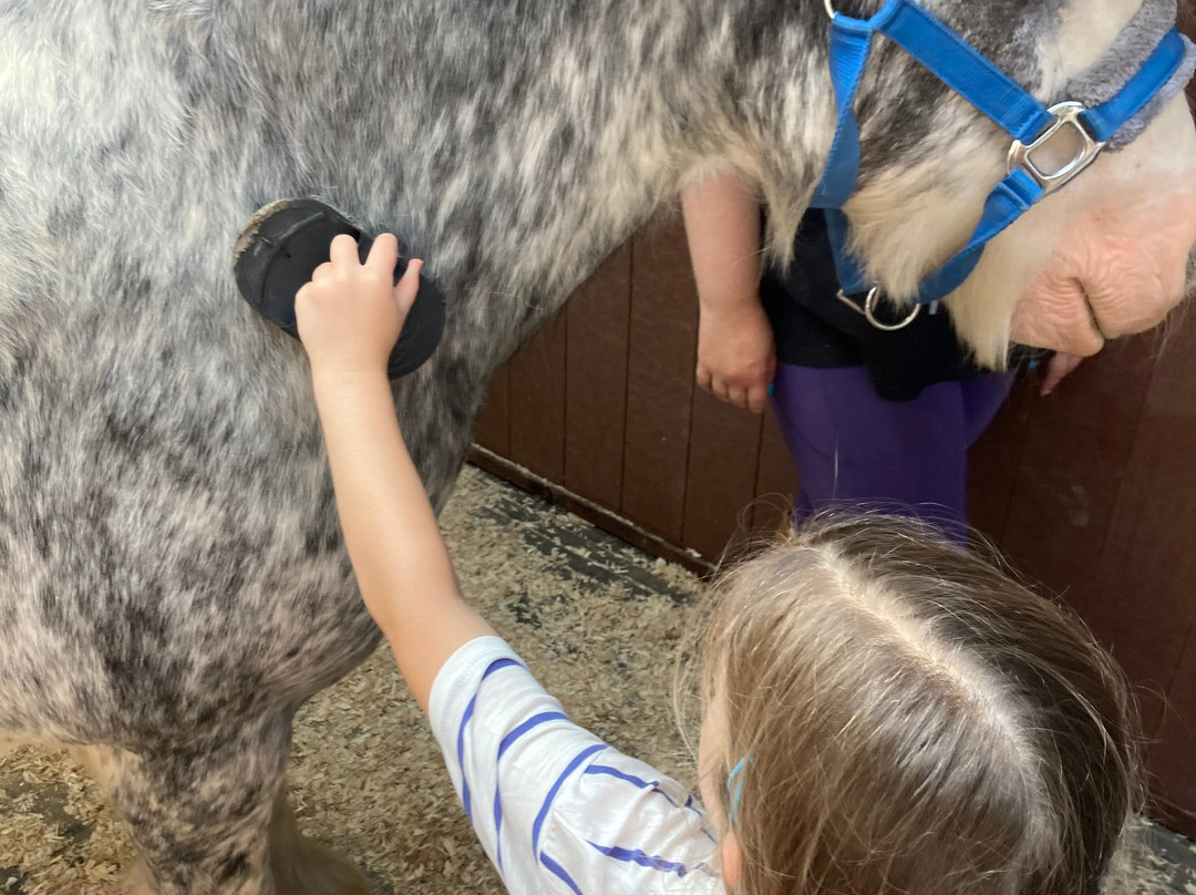 Crindle Stables-Limavady必去景点