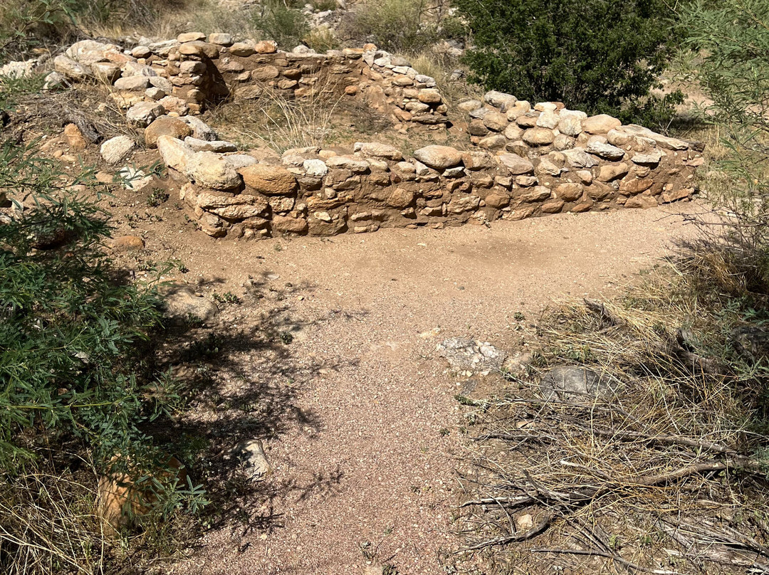 Catalina State Park-图森必去景点